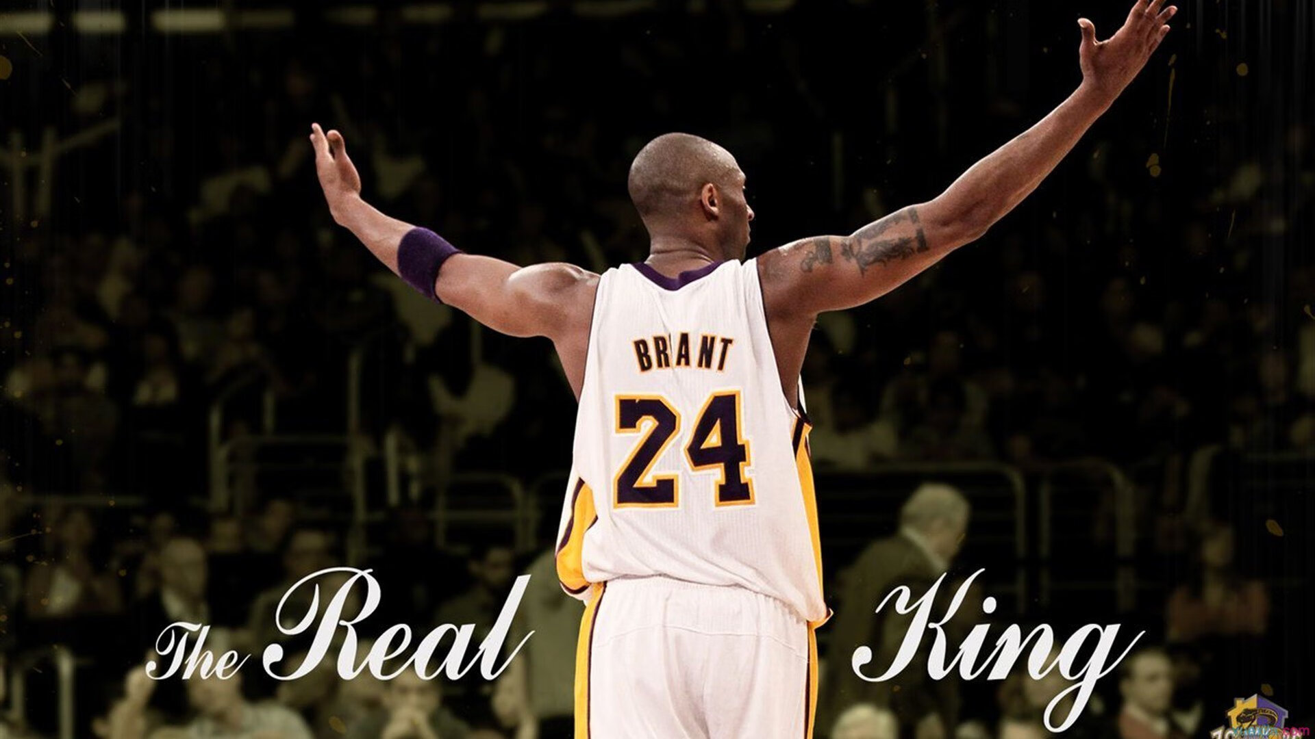 大卫·波波维奇赛后分享备赛心得，大卫波茨杆官网